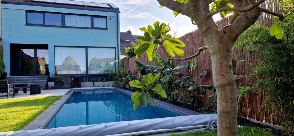 Schmaler Pool im Stadtgarten mit Feigenbaum und Bambuszaun