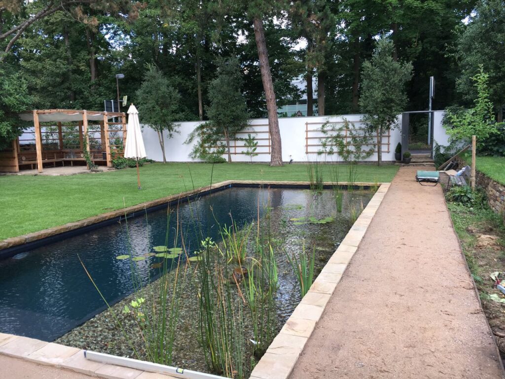 Langer Hybridpool mit Kieszone, Seerosen und Gartenweg