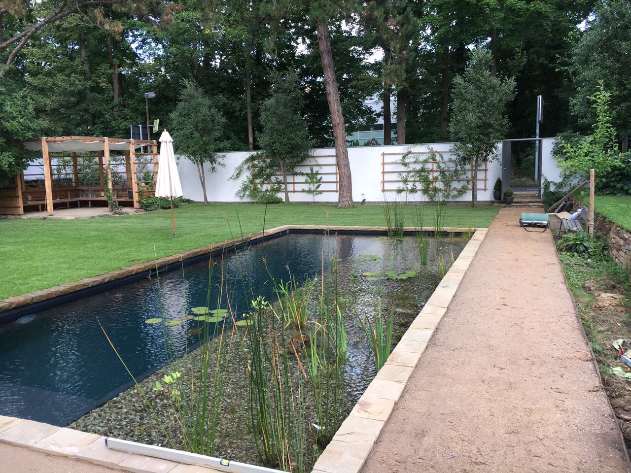 Langer Hybridpool mit Kieszone, Seerosen und Gartenweg