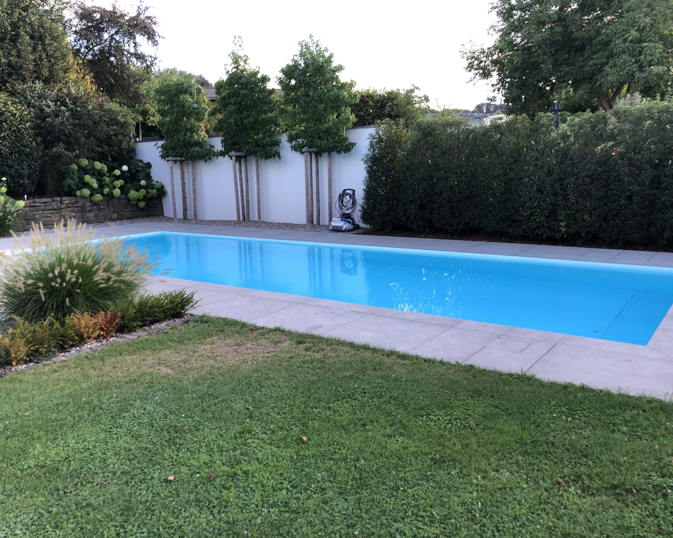 Pool mit moderner Gartengestaltung