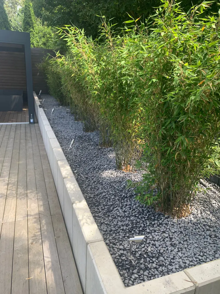 Moderner Pool mit Holzterrasse und Loungebereich
