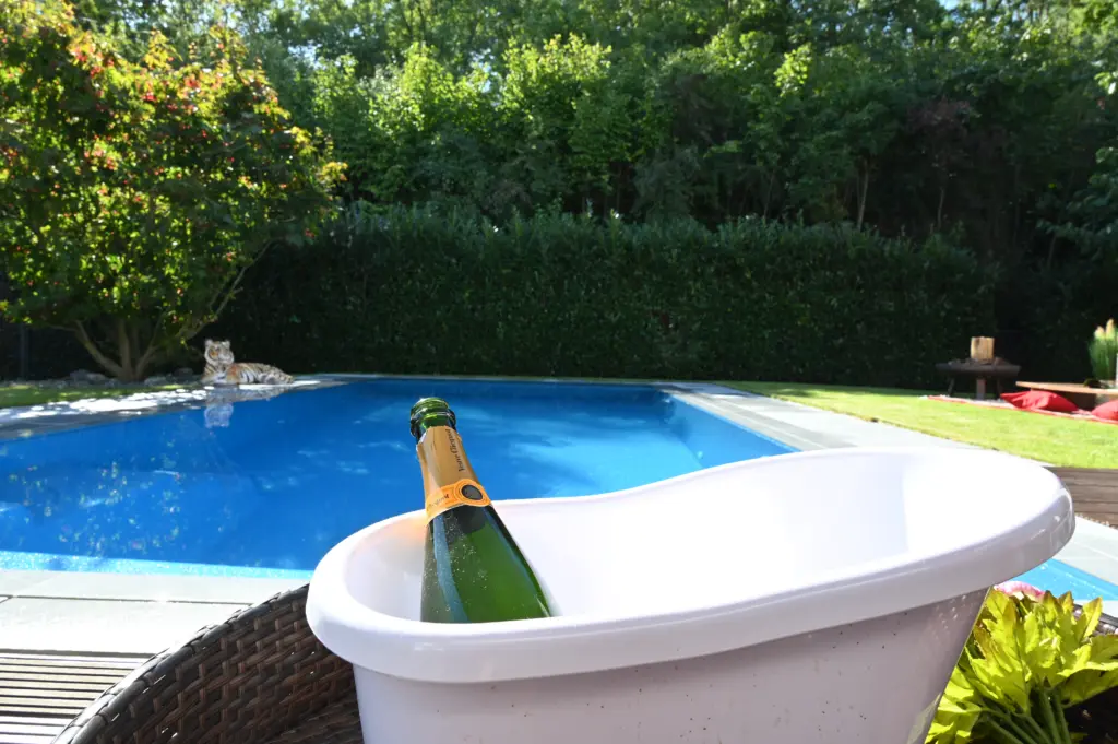 Pool mit modernem Pergola-Design