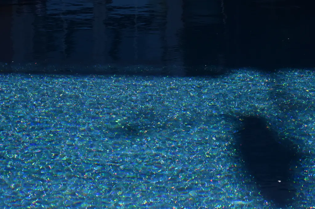 Moderner Pool mit heller Terrassenfläche und Poolhaus