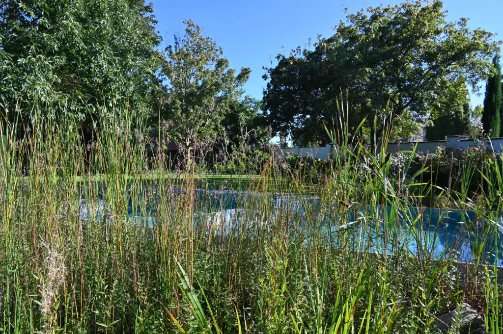Hybridpool auf Salzwasserbasis als Überlaufpool