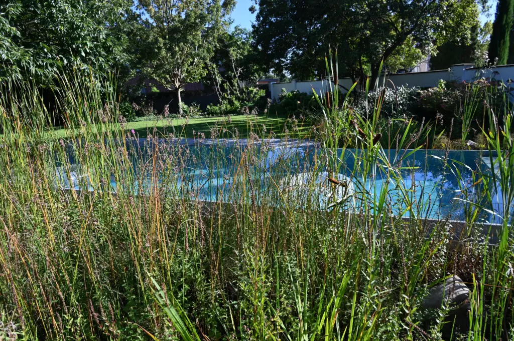 Hybridpool auf Salzwasserbasis als Überlaufpool