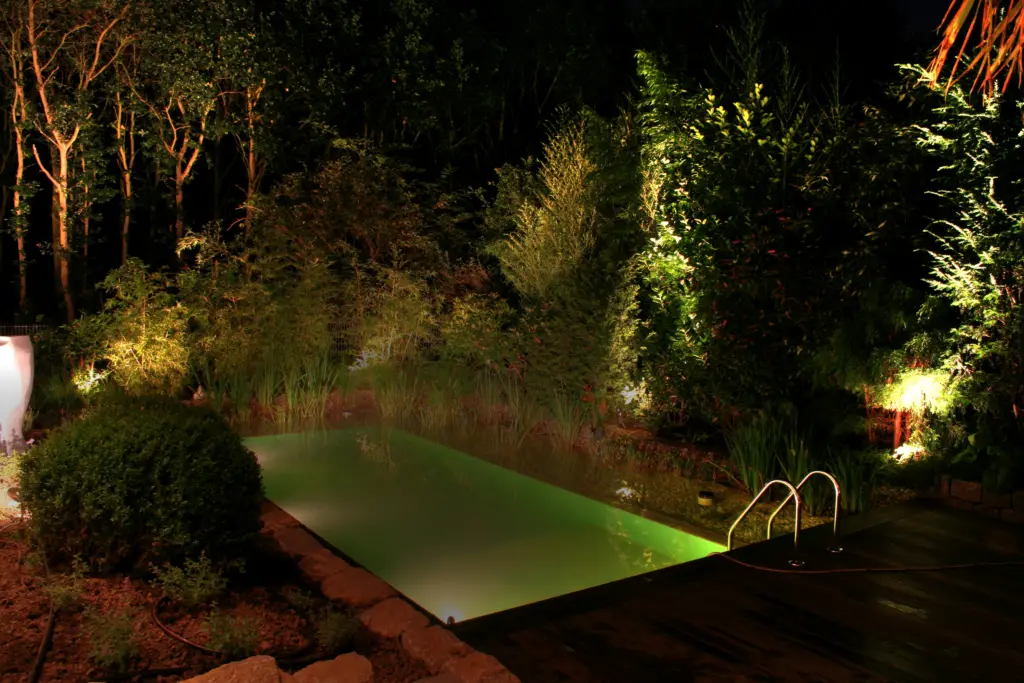 Schwimmteich mit bepflanztem Uferbereich in der Abendbeleuchtung
