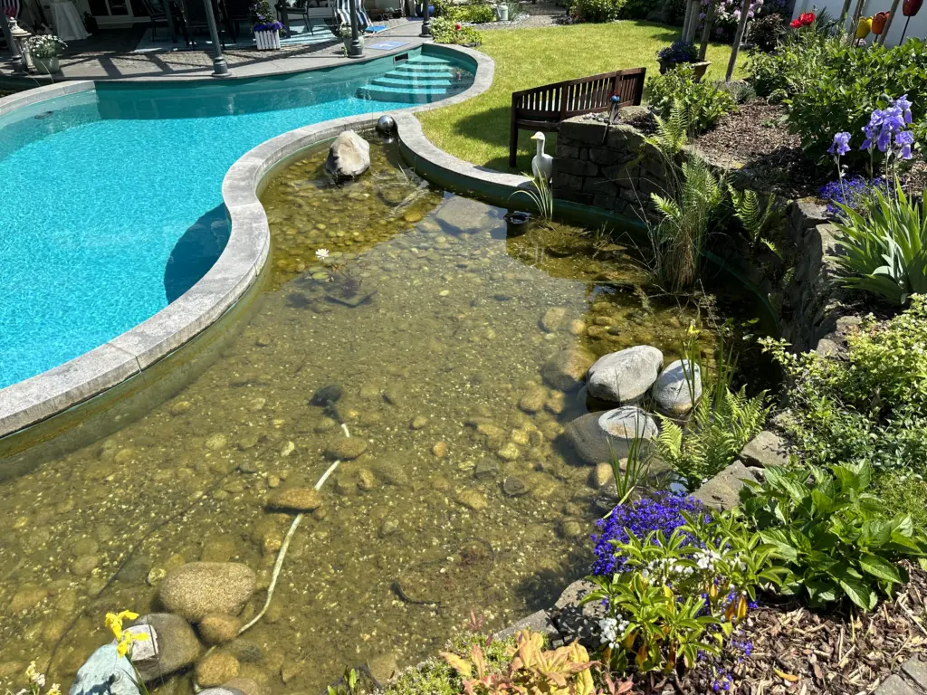 Schwimmteich mit geschwungener Badezone und Uferbereich