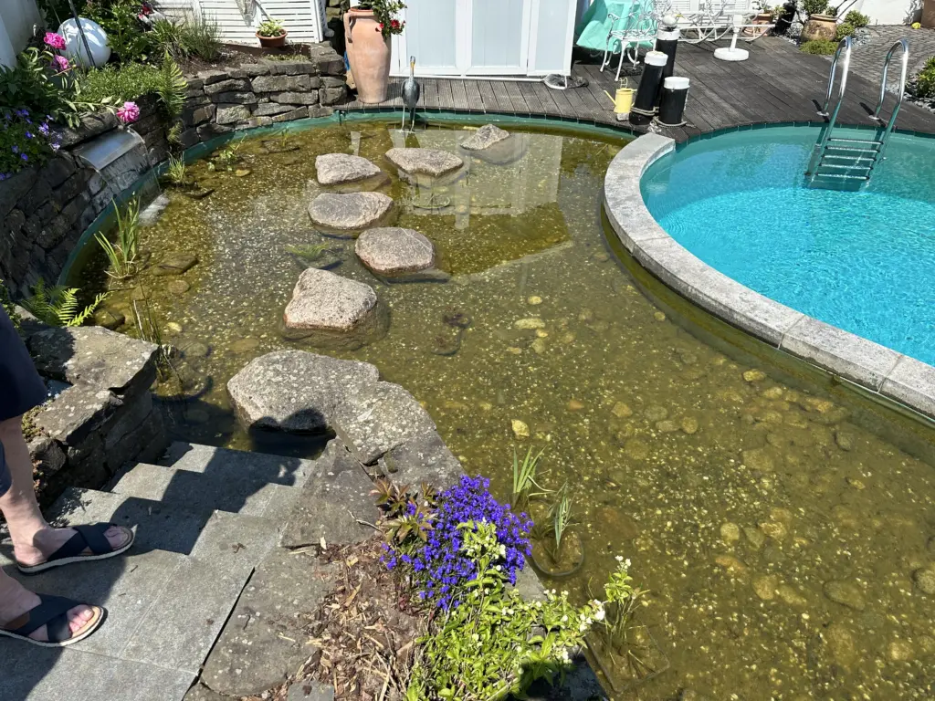 Schwimmteich mit geschwungener Badezone und Uferbereich