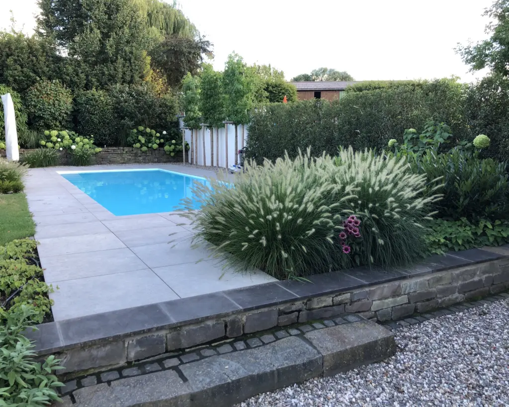 Pool mit moderner Gartengestaltung