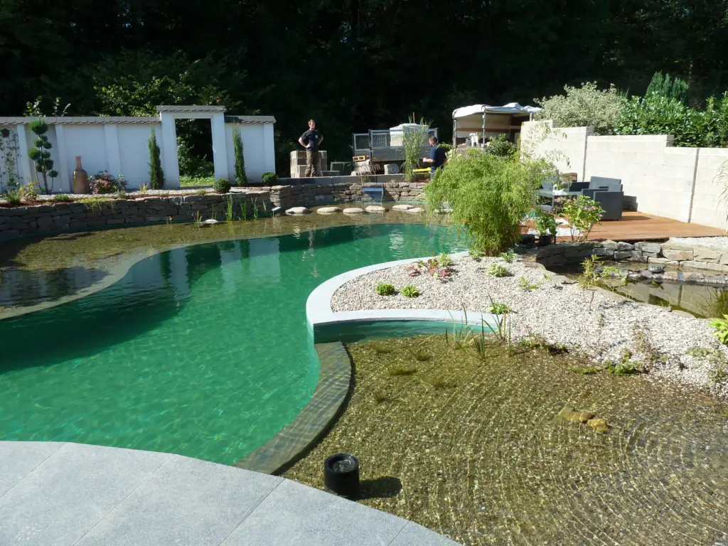 Schwimmteich mit geschwungener Badezone und Uferbereich