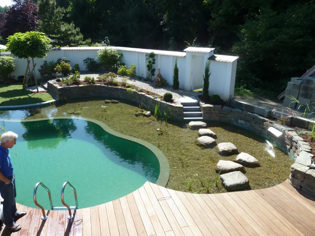 Schwimmteich mit geschwungener Badezone und Uferbereich