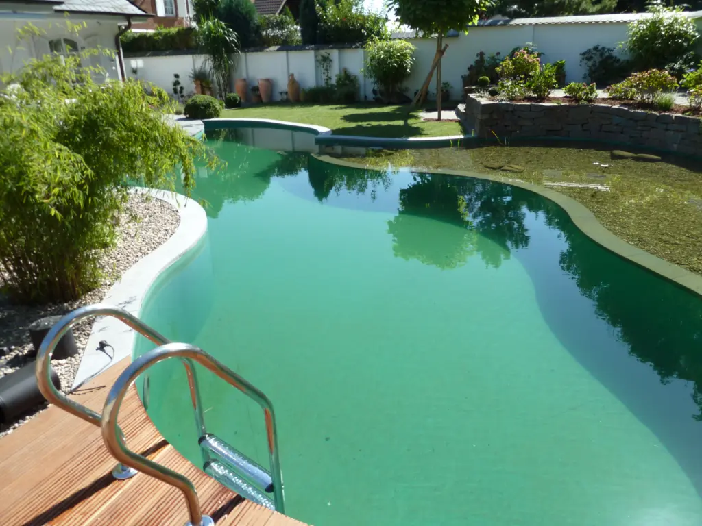 Schwimmteich mit geschwungener Badezone und Uferbereich