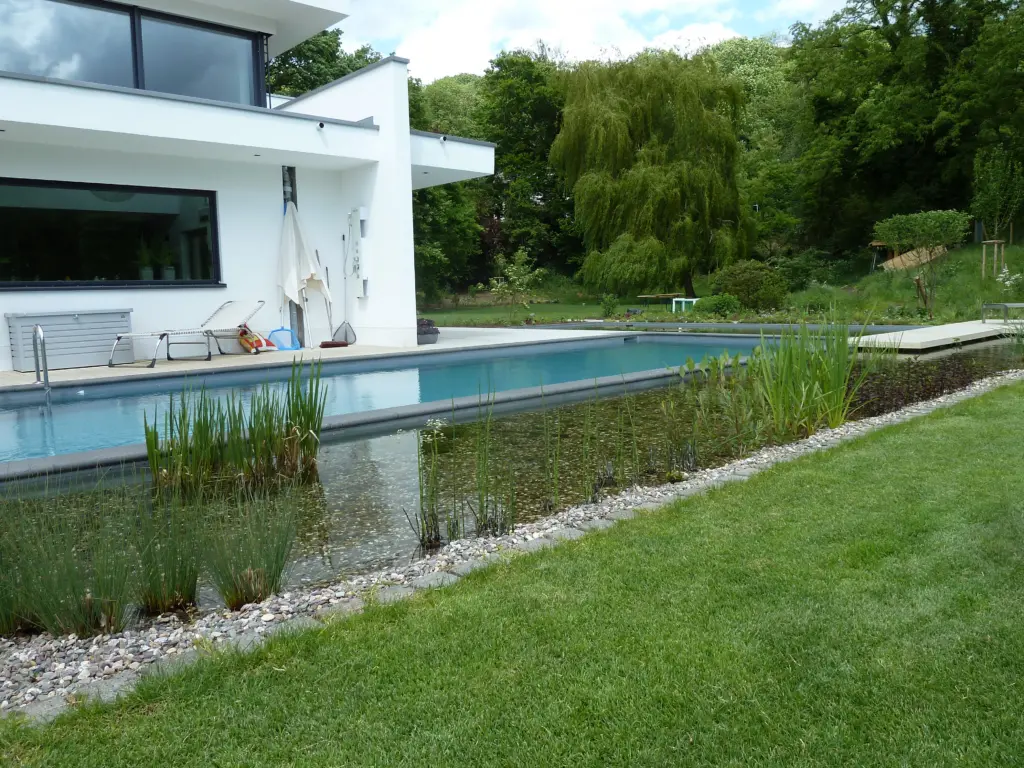 Hybridpool mit getrenntem Schwimm- und Pflanzbereich