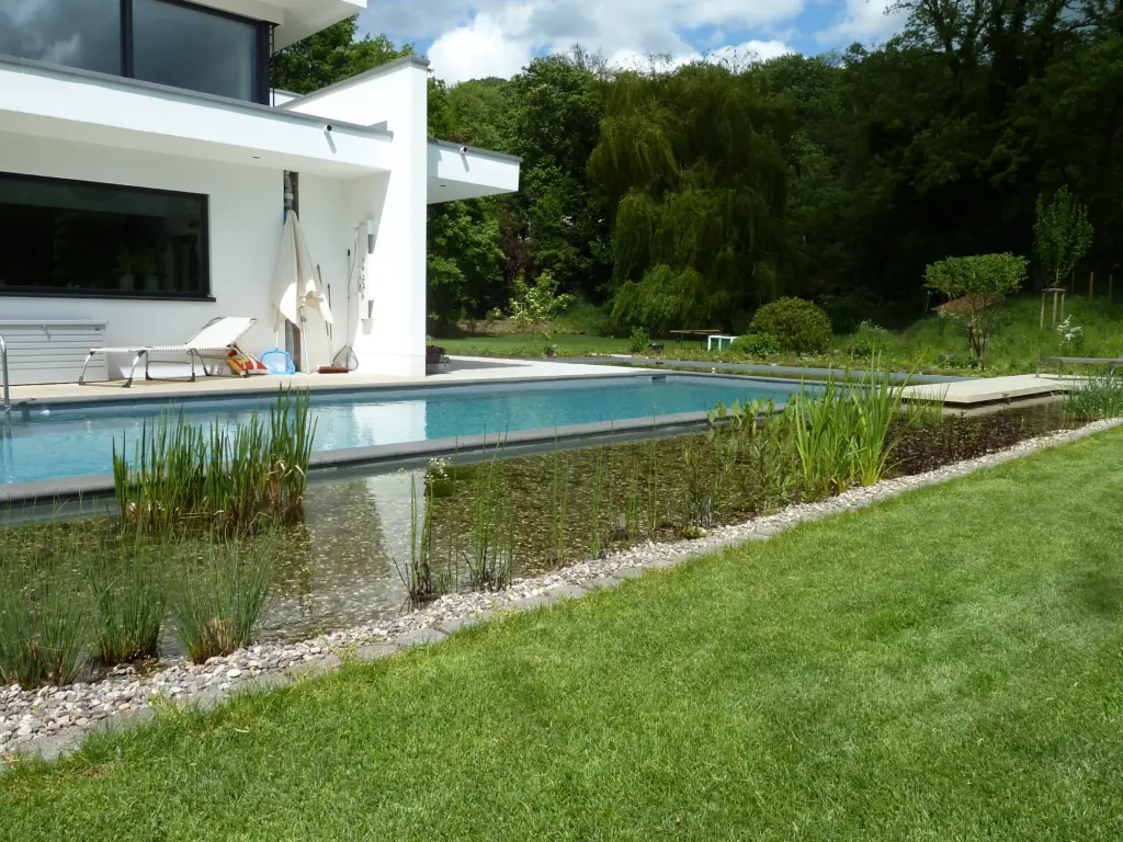 Hybridpool mit getrenntem Schwimm- und Pflanzbereich