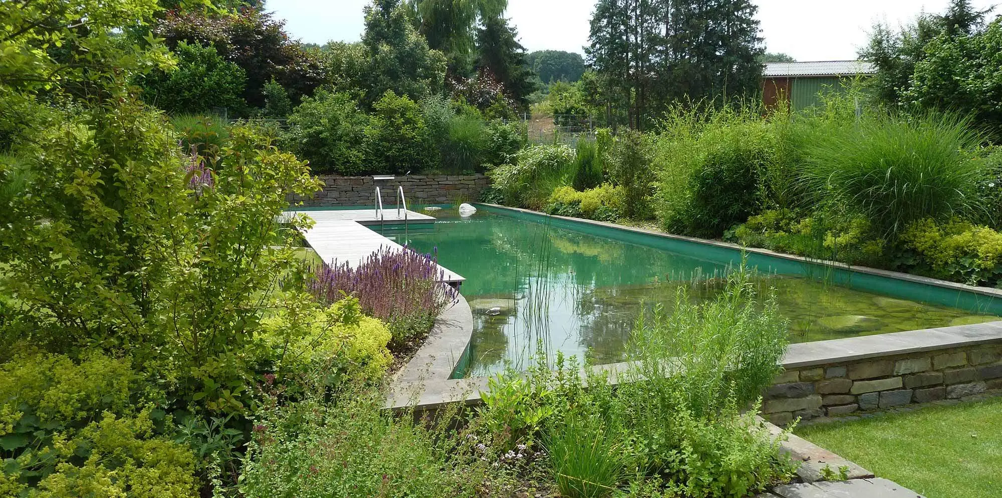 Schwimmteich mit bepflanzter Ufer- und Regenerationszone